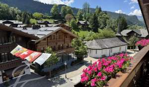 Rental Apartment Gstaad