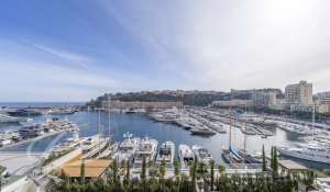 Rental Apartment Monaco