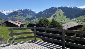 Rental Apartment Saanen