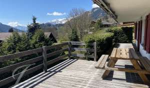 Rental Apartment Saanen