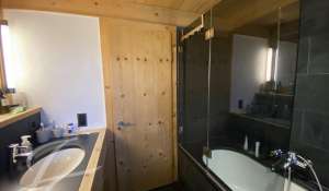 Rental Apartment Saanen