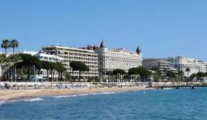 Rental Business Cannes