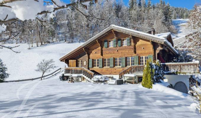 Rental Chalet Saanen