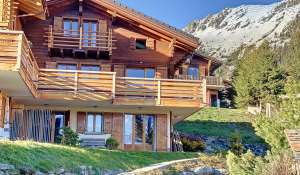 Rental Chalet Verbier