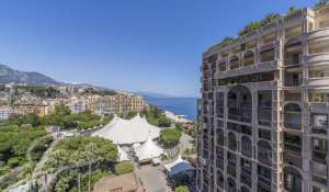 Sale Apartment Monaco