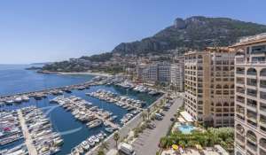 Sale Apartment Monaco