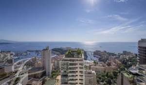 Sale Apartment Monaco