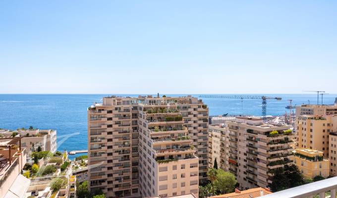 Sale Apartment Monaco