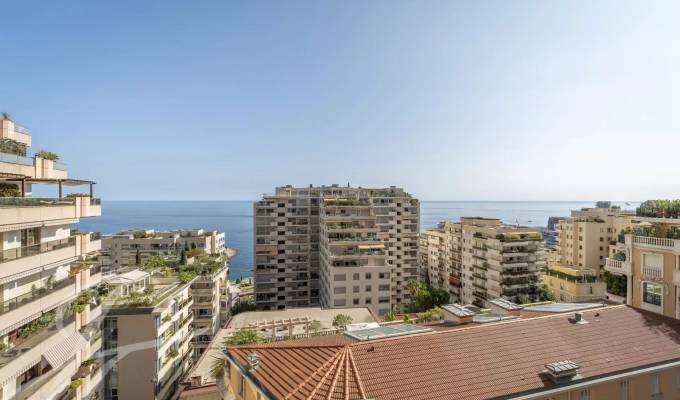 Sale Apartment Monaco