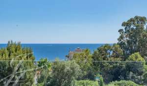 Sale Apartment Vallauris