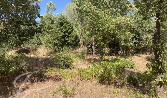 Sale Building land Grimaud