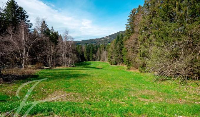 Sale Building land Les Paccots