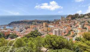 Sale Building land Roquebrune-Cap-Martin