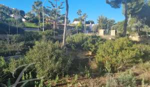 Sale Building land Santa Ponsa