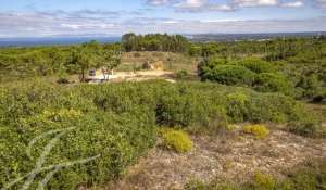 Sale Building land Sesimbra