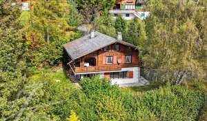 Sale Chalet Arbaz