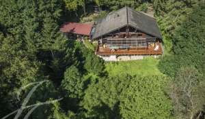 Sale Chalet Monthey