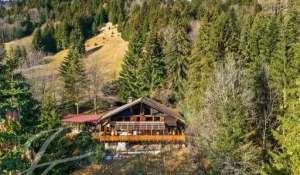 Sale Chalet Monthey