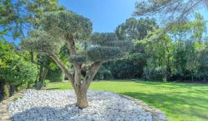 Sale House Mougins