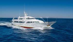 Sale Motor Yacht 