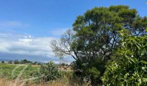 Sale Plot of land Alcácer do Sal