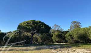 Sale Plot of land Alcácer do Sal