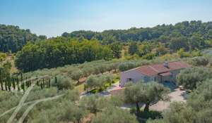 Sale Property Châteauneuf-Grasse