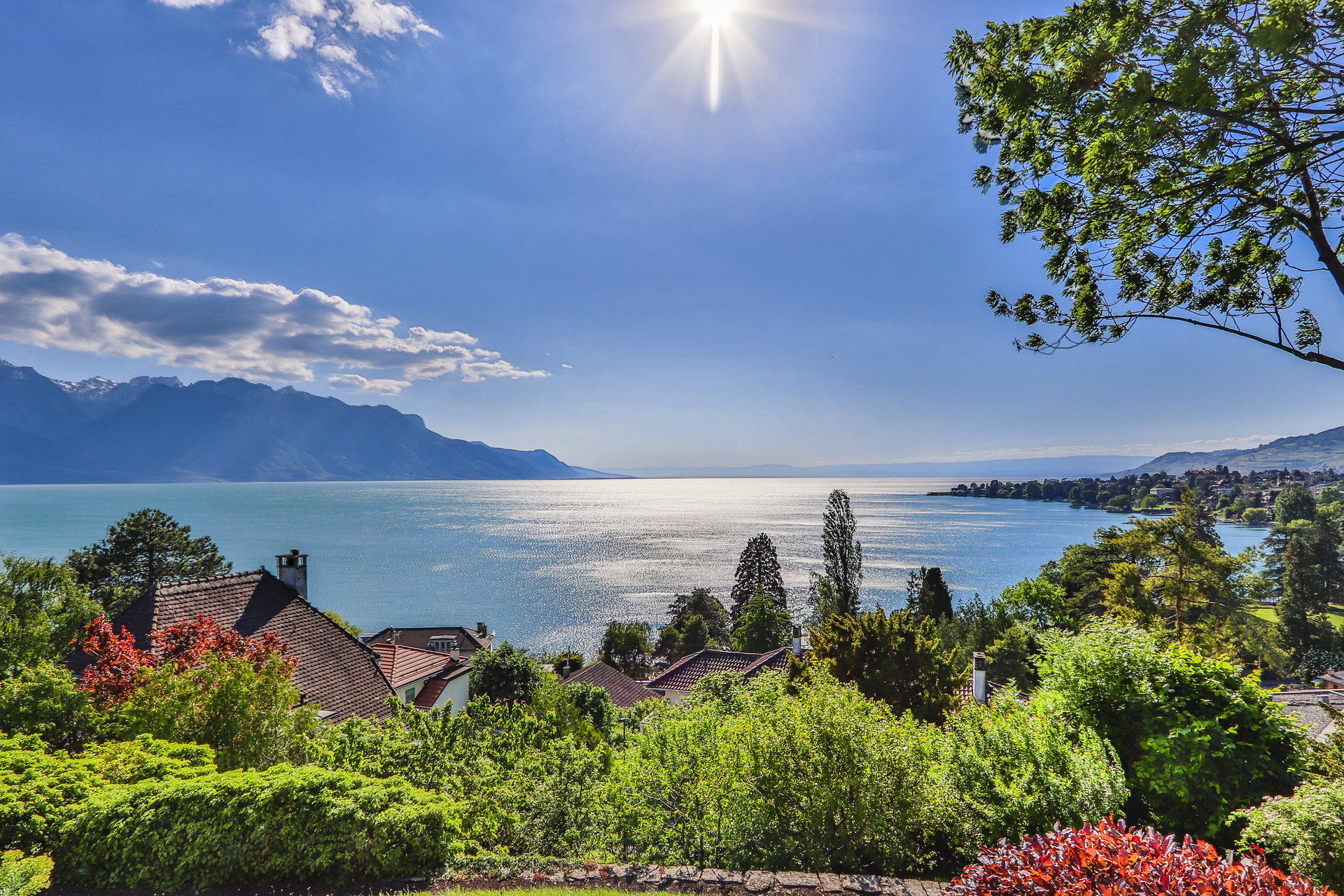 Ad Sale Property Montreux (1820), 11 Rooms ref:V0180MX