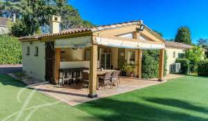 Sale Property Mougins