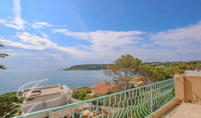 Luxury estate for sale - Luxury real estate agency cap-d-antibes (15126)