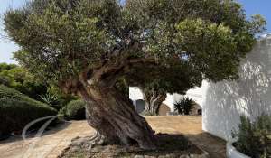 Sale Villa Ciutadella de Menorca