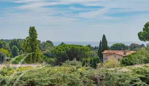 Sale Villa Mougins