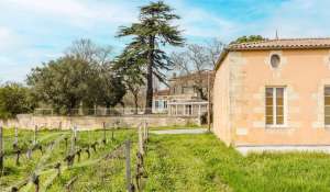 Sale Vineyard property Bordeaux