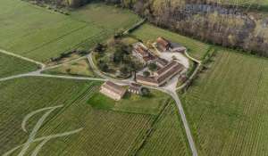 Sale Vineyard property Bordeaux