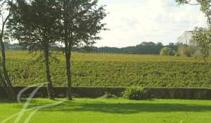 Sale Vineyard property Bordeaux