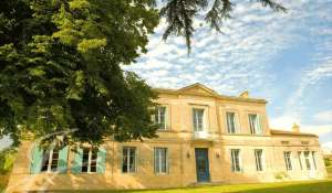 Sale Vineyard property Bordeaux