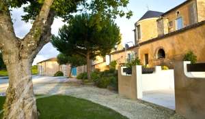 Sale Vineyard property Bordeaux