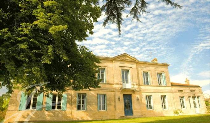 Sale Vineyard property Bordeaux