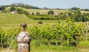 Sale Vineyard property Saint-Émilion