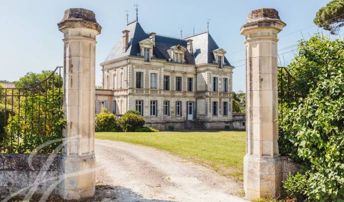 Sale Vineyard property Saint-Émilion