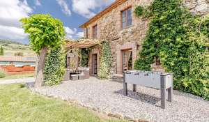 Sale Vineyard property Volterra