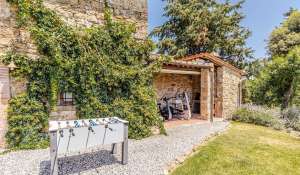 Sale Vineyard property Volterra