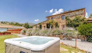 Sale Vineyard property Volterra