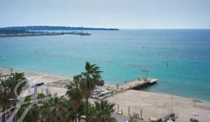 Seasonal rental Apartment Cannes