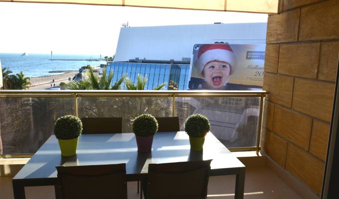 Seasonal rental Apartment Cannes