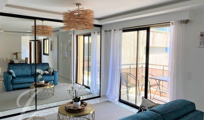 Seasonal rental Apartment Cannes