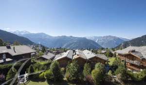 Seasonal rental Apartment Verbier