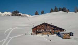 Seasonal rental Chalet Flendruz