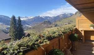 Seasonal rental Chalet Gstaad