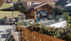 Seasonal rental Chalet Gstaad